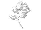 Фацеты (bevels, бевелсы) RB  24.1 - фото 6492