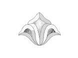 Фацеты (bevels, бевелсы) RB  42.1 - фото 7211