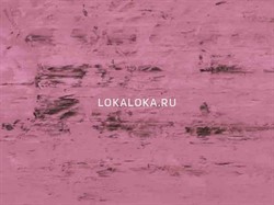 Пленка  (спектрум филм) SF 110 - фото 8158