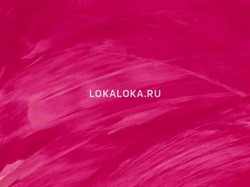 Пленка SF (спектрум филм) 159 - фото 8187