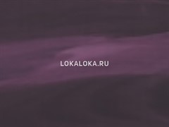 Пленка  (спектрум филм) SF 631