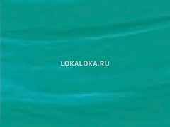 Пленка  (спектрум филм) SF 635
